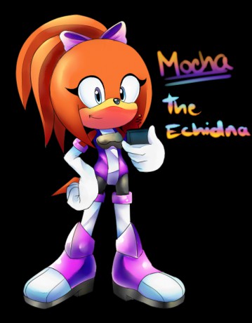 mocha the echidna