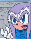 mykol-the-echidna.png